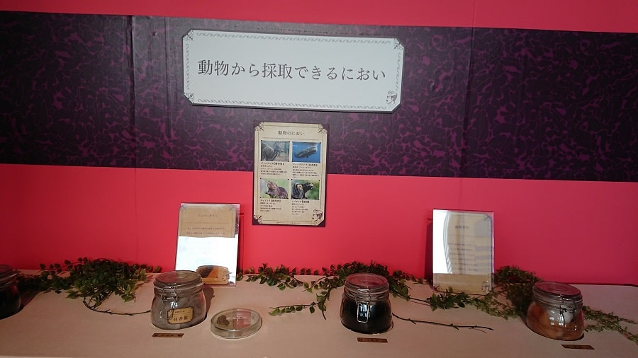 におい展の「動物から採取できるにおい」展示。ムスクやアンバーグリスなど動物由来香料の説明パネルとガラス瓶が並ぶ様子。