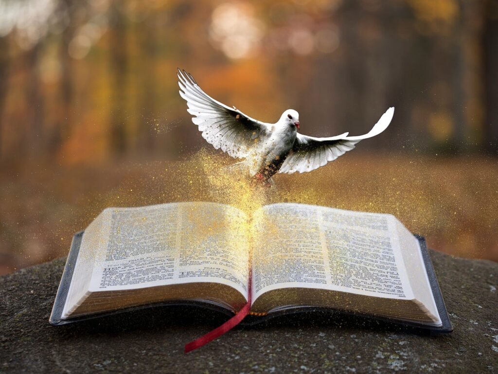 開かれた本から金色の光とともに飛び立つ白い鳩の写真