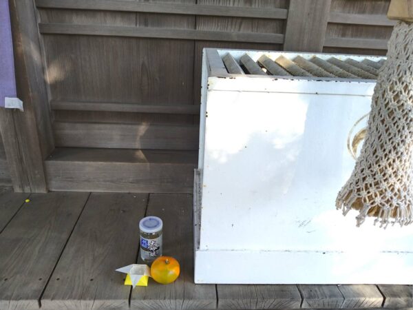 神社の賽銭箱の前に置かれたみかんと塩の供え物の写真