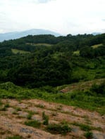 ナード協会農場