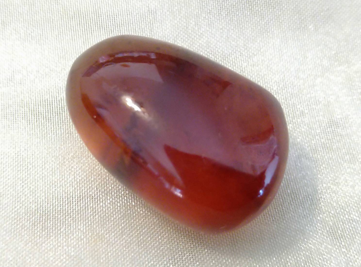 樹脂の化石の琥珀は太古の地球からの贈り物