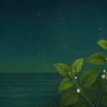 夜の海と星空を背景に、白い花を咲かせたメリッサの葉が描かれた幻想的なイラスト