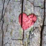 樹の表面に刻まれたハート形の模様が浮かび上がる写真。名前やエネルギーの象徴として使われるイメージ。